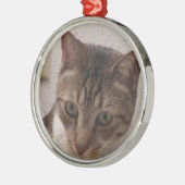 Tabby Cat Premium Round Ornament (Links)