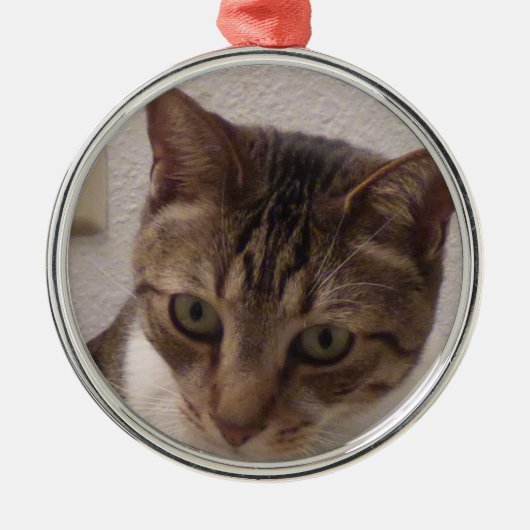 Tabby Cat Premium Round Ornament (Voorkant)