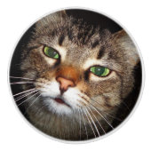 Tabby Cat Pull Keramische Knop (Voorkant)