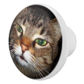 Tabby Cat Pull Keramische Knop (Rechts)