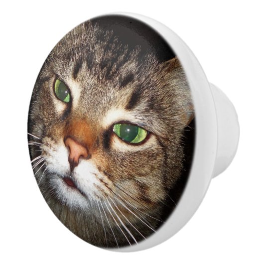 Tabby Cat Pull Keramische Knop (Rechts)
