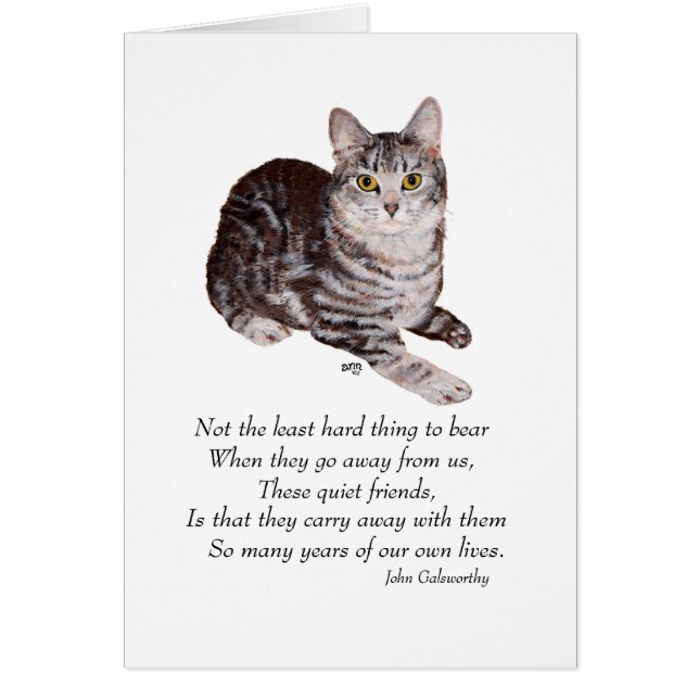 Tabby Cat Rainbow Bridge (Voorkant)