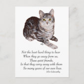 Tabby Cat Rainbow Bridge Briefkaart (Voorkant)