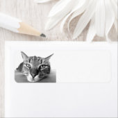Tabby cat, retourneert adreslabels etiket (Insitu)