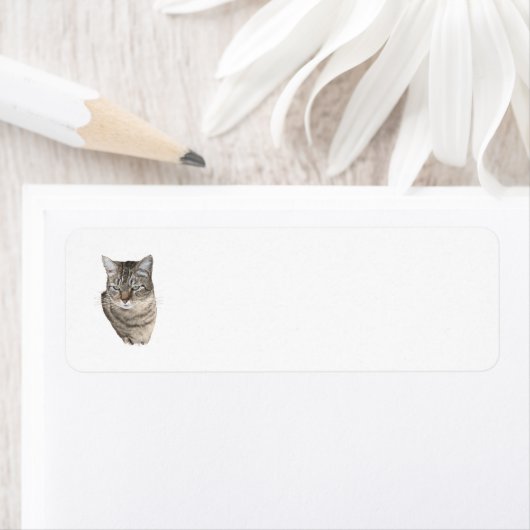 Tabby Cat Return-adreslabels Etiket (Insitu)