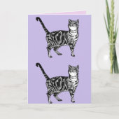 Tabby Cat Schattigee Katten Roze Kunst Tekening Ve Kaart (Voorkant)