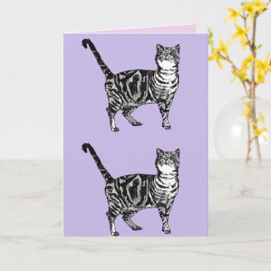 Tabby Cat Schattigee Katten Roze Kunst Tekening Ve Kaart (Gele Bloem)