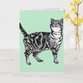 Tabby Cat Schattigee Katten Roze Kunst Tekening Ve Kaart (Gele Bloem)