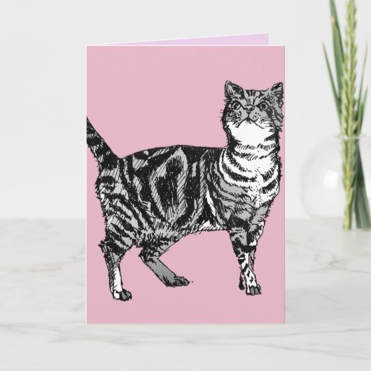 Tabby Cat Schattigee Katten Roze Kunst Tekening Ve Kaart (Voorkant)