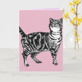 Tabby Cat Schattigee Katten Roze Kunst Tekening Ve Kaart (Gele Bloem)