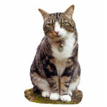 Tabby Cat Sculpture Staand Fotobeeldje<br><div class="desc">Kat sculptuur om op je bureau te zitten en je te herinneren aan je favoriete huisdier.</div>