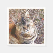 TABBY CAT SERVETTEN (Voorkant)