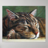 Tabby cat Slaapkleine muis Poster (Voorkant)