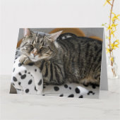 TABBY CAT SLEEPING BIRTHDAY WENSKAART KAART (Gele Bloem)