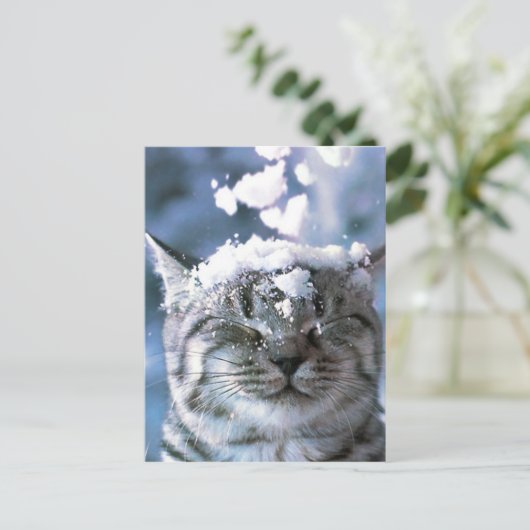 Tabby Cat Snow Splash Briefkaart (Staand voorkant)