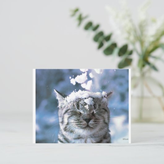 Tabby Cat Snow Splash Briefkaart (Staand voorkant)
