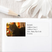 Tabby Cat Spint-fect Holiday Seizoen Etiket (Insitu)