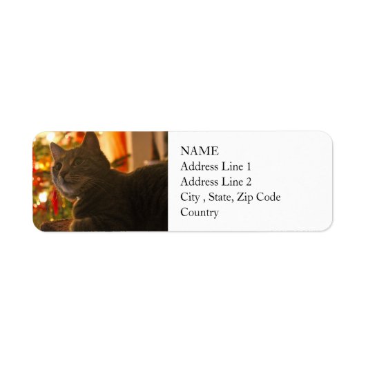 Tabby Cat Spint-fect Holiday Seizoen Etiket (Voorkant)