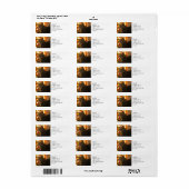 Tabby Cat Spint-fect Holiday Seizoen Etiket (Full Sheet)