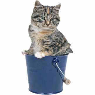 Tabby Cat Staand Fotobeeldje