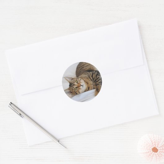 Tabby Cat Stickers (Envelop)