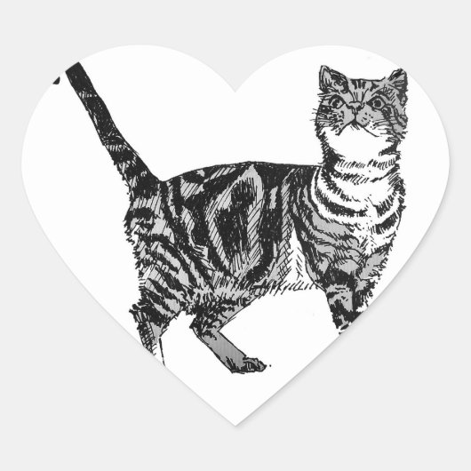 Tabby Cat Stickers Schattige Huisdieren katten Sti (Voorkant)
