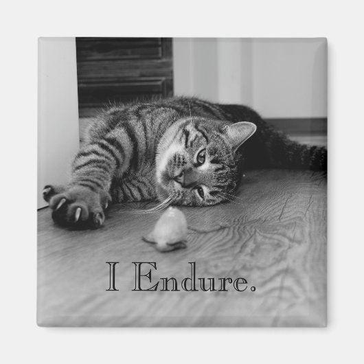 Tabby Cat Stretched out, Speelgoed muis, I-eindtij Magneet (Voorkant)