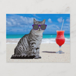 TABBY CAT-SUNLASSEN OP DE BEACH-BRIEFKAARTEN BRIEFKAART