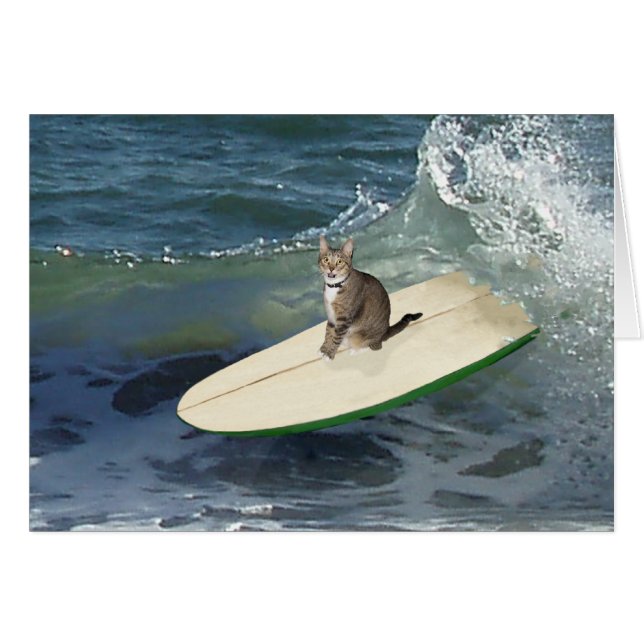 Tabby Cat Surf omhoog! (Voorkant Horizontaal)