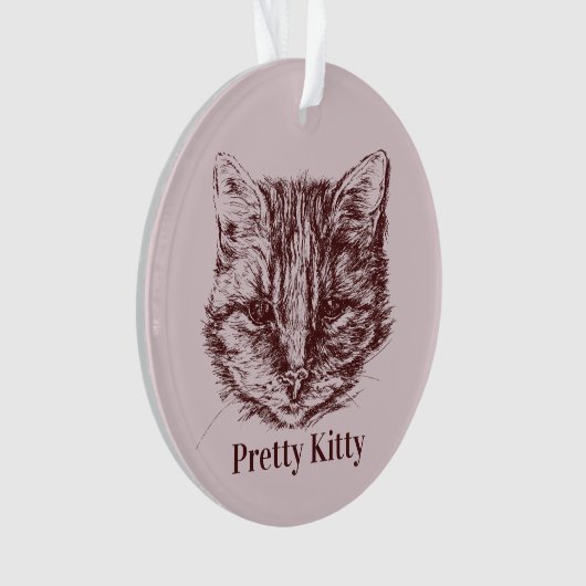 Tabby Cat Tekening Aangepaste kleur Aangepaste naa Ornament (voorkant)