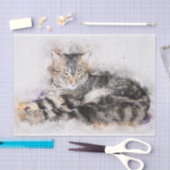  tabby cat tissue papier (Craft)