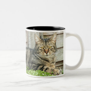 Tabby Cat Tweekleurige Koffiemok