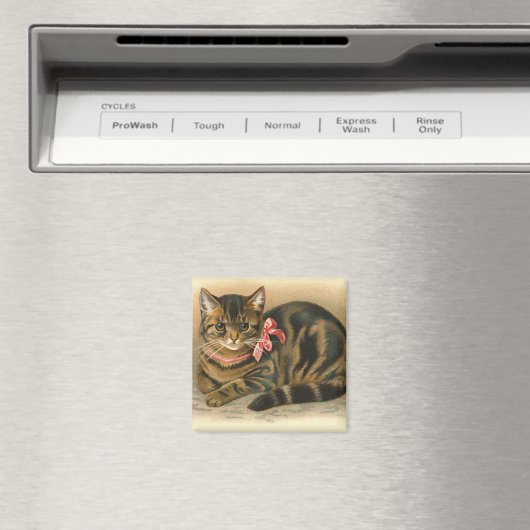 "Tabby Cat" vierkante magneet (Insitu (Vaatwasser))