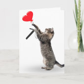 Tabby Cat voor 7e verjaardag Kaart (Voorkant)