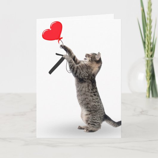 Tabby Cat voor 7e verjaardag Kaart (Voorkant)