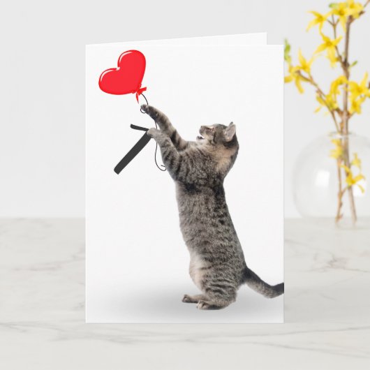 Tabby Cat voor 7e verjaardag Kaart (Gele Bloem)