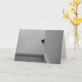 Tabby Cat - Wateren, kaart (Gele Bloem)