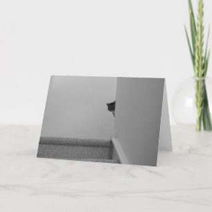 Tabby Cat - Wateren, kaart