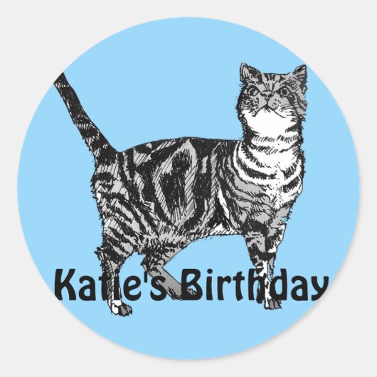Tabby Cat Whimsical Blue Girls Birthday Sticker (Voorkant)