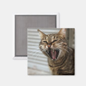 Tabby Cat Yawning Artistic Portret Magneet (Voorkant / Achterkant)
