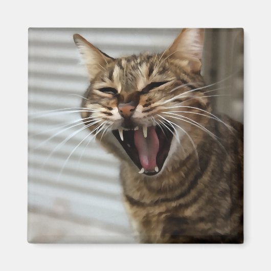 Tabby Cat Yawning Artistic Portret Magneet (Voorkant)
