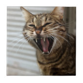 Tabby Cat Yawning Artistic Portret Tegeltje (Voorkant)