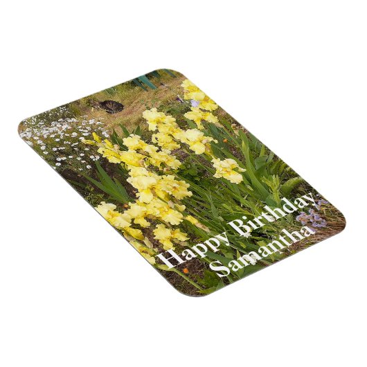 Tabby Cat Yellow Iris Bloem Verjaardagsmagnet Magneet (Rechterzijde)