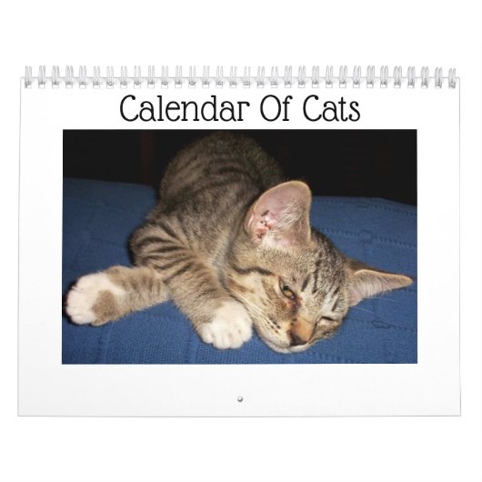 Tabby Cats Calendar Kalender (Hoes)