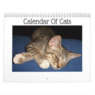Tabby Cats Calendar Kalender