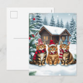 Tabby Cats in Preppy Winter Attire and Hat Winter Feestdagenkaart (Voorkant / Achterkant)