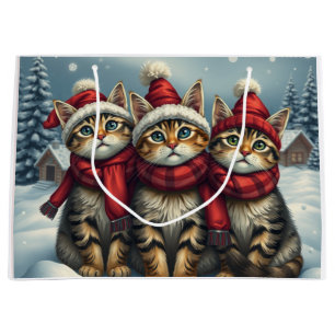 Tabby Cats in Preppy Winterkleding en Pet Winter Groot Cadeauzakje