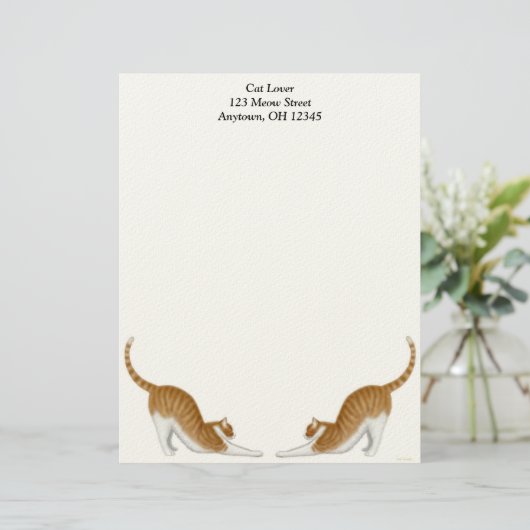 Tabby Cats Letterhead Persoonlijk Briefhoofd (Staand voorkant)
