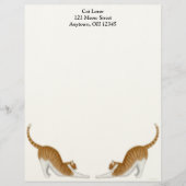 Tabby Cats Letterhead Persoonlijk Briefhoofd (Voorkant)
