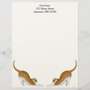 Tabby Cats Letterhead Persoonlijk Briefhoofd